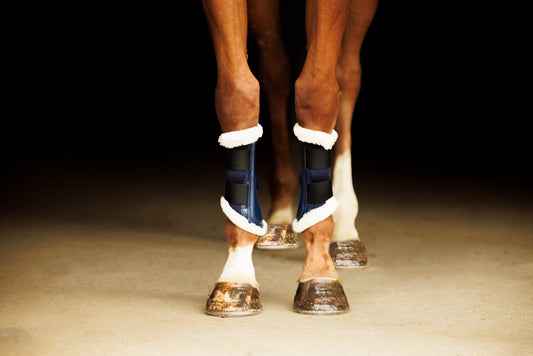 Navy mesh horse boots with white fur trim on a chestnut horse