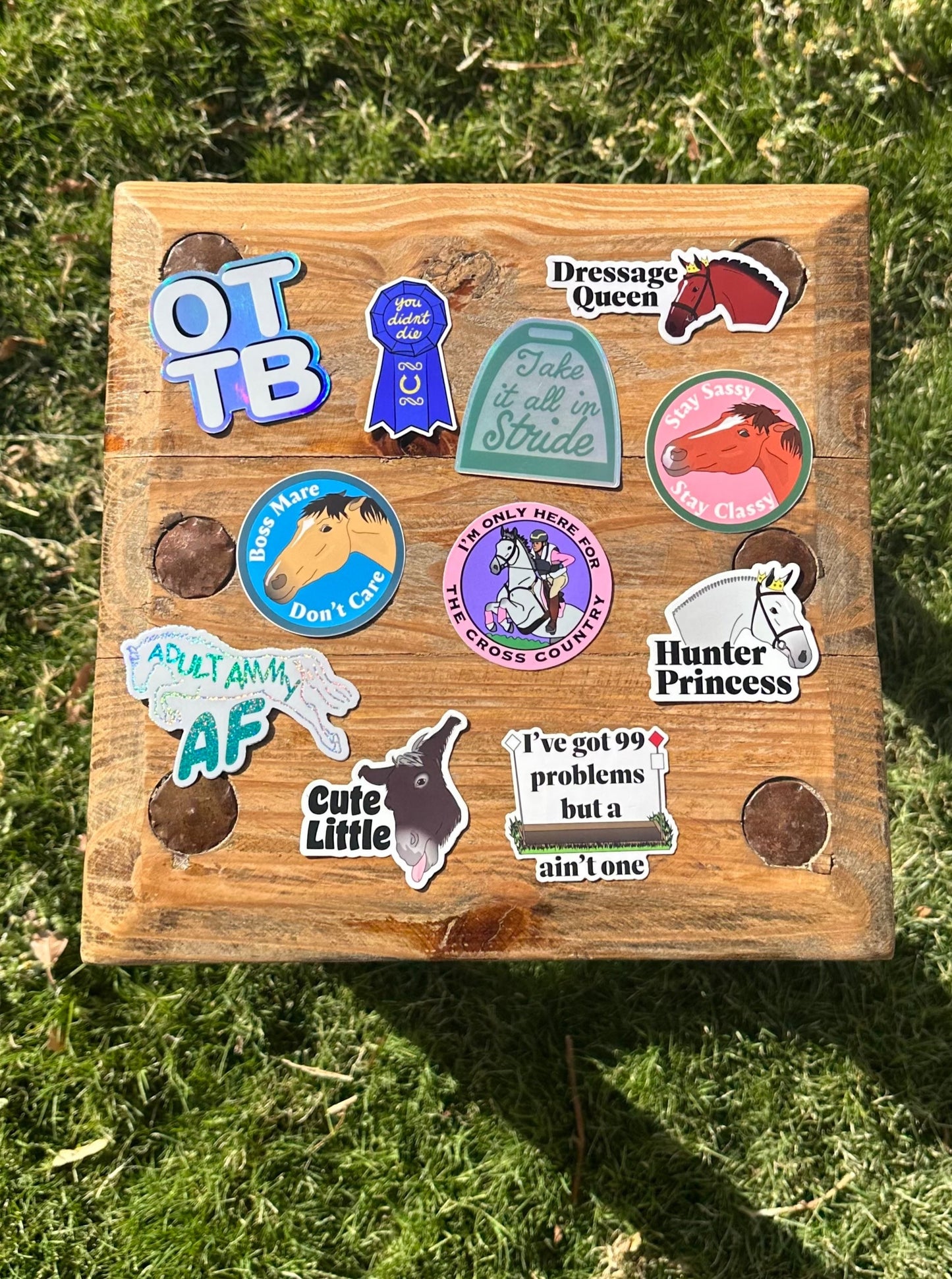 Hunter Princess Sticker