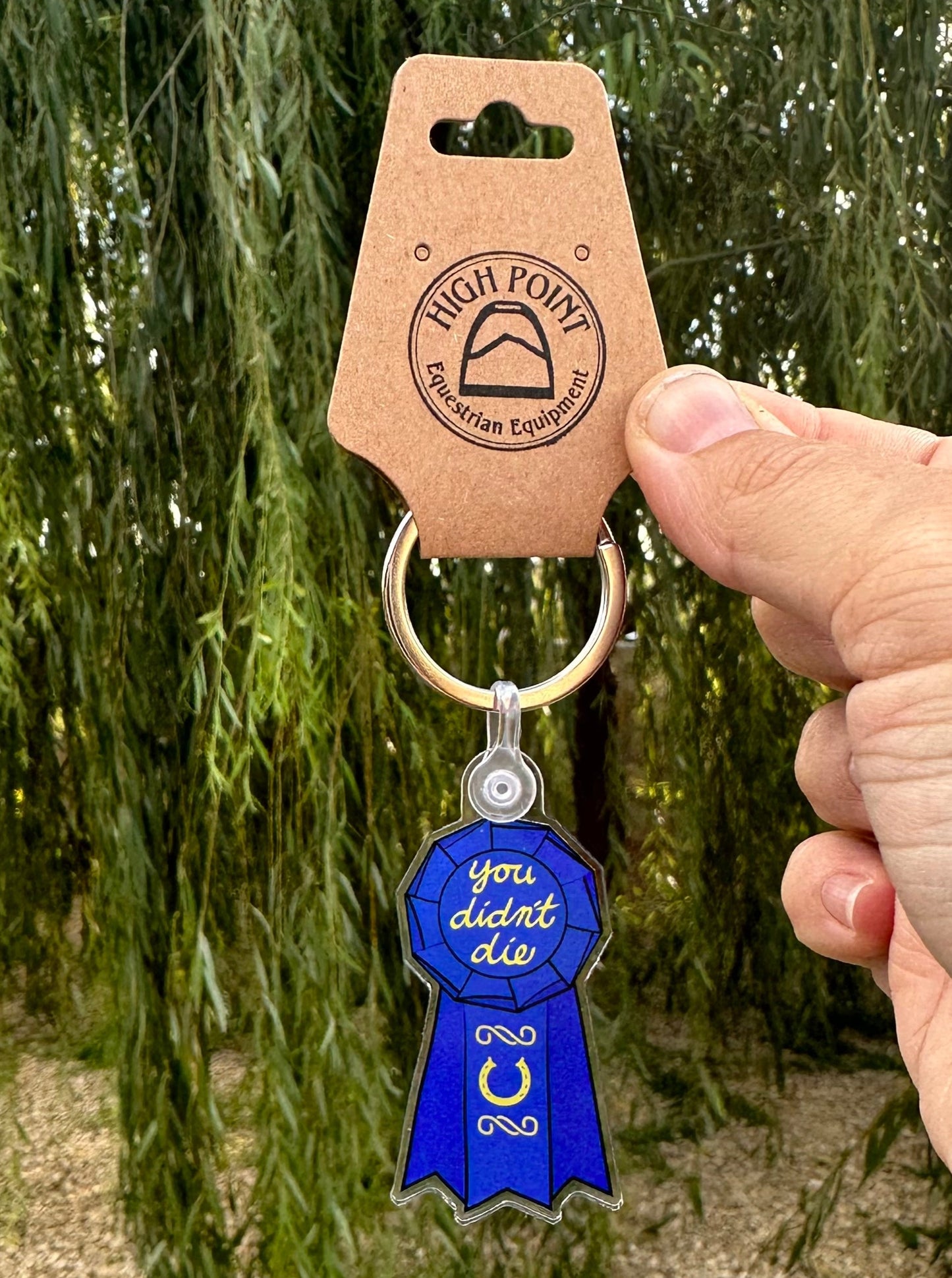 blue horse show ribbon keychain with words "you didn't die" written at top and a horseshoe at the bottom