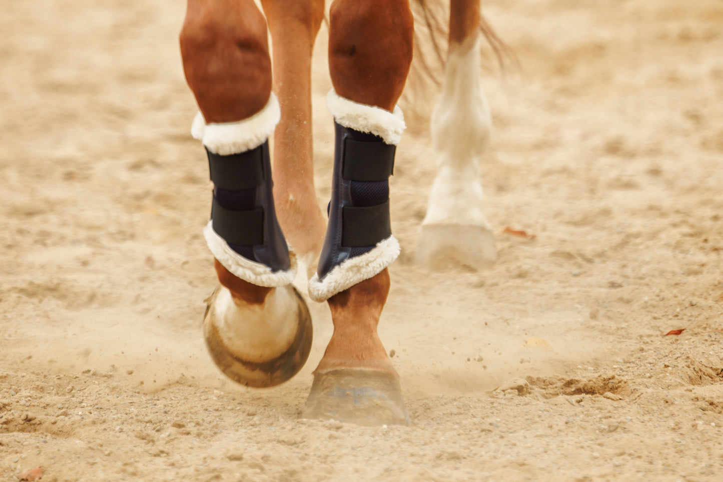 Navy Ocala Mesh Boots