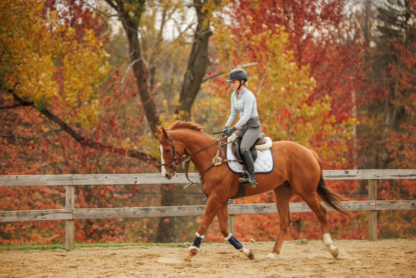 Navy Ocala Mesh Boots