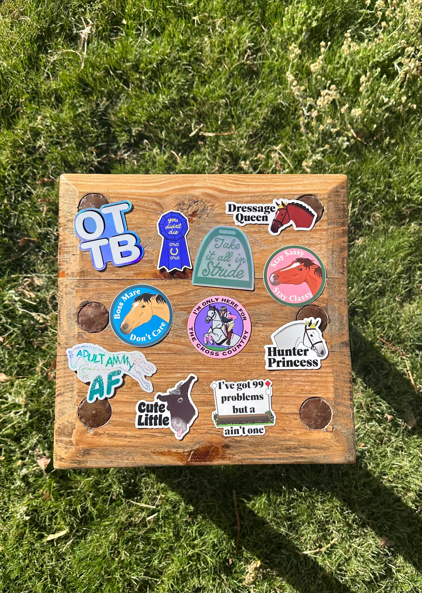 Cute Little Donkey Sticker