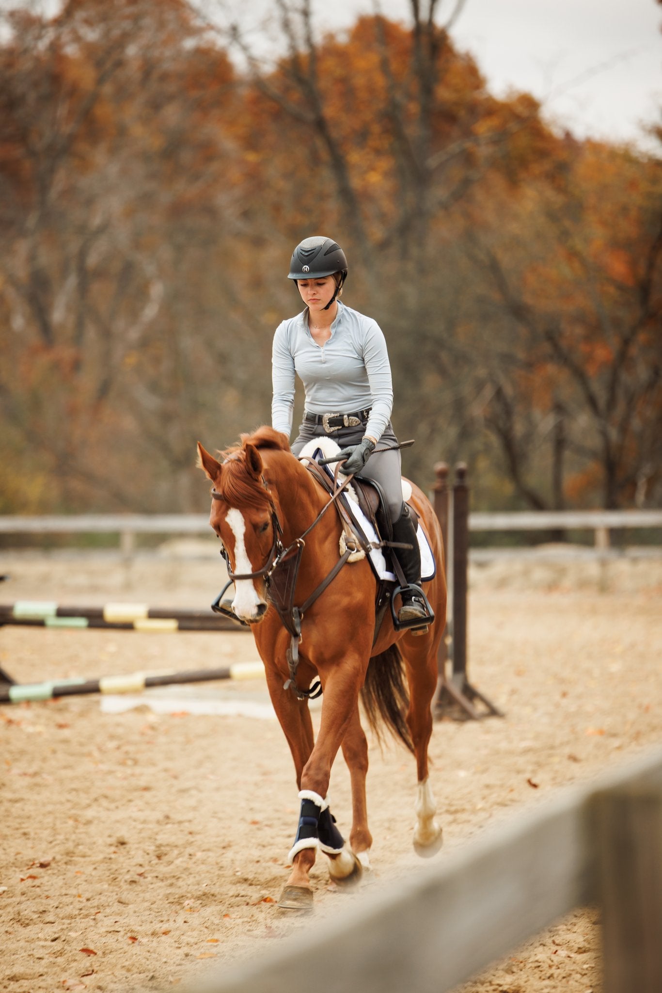 Navy Crystal Jump Saddle Pad