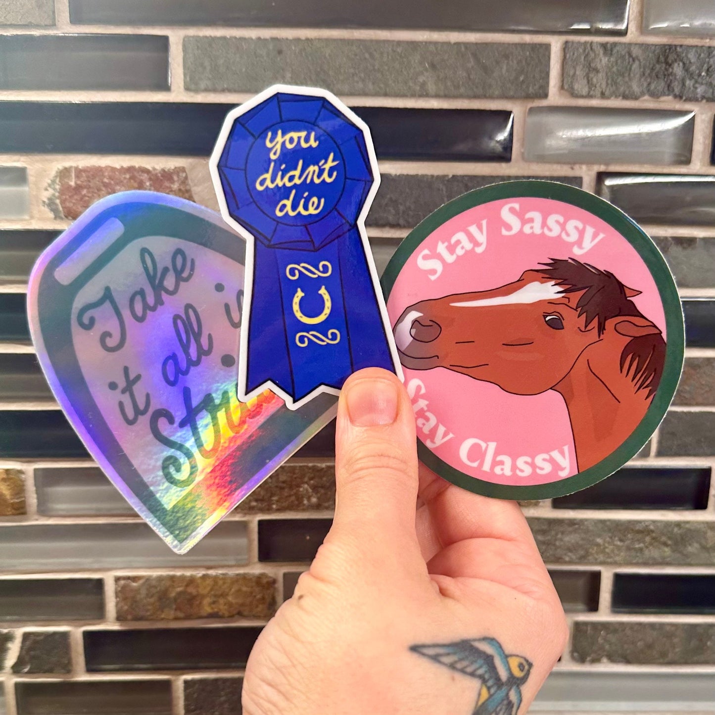 Take It All In Stride Sticker