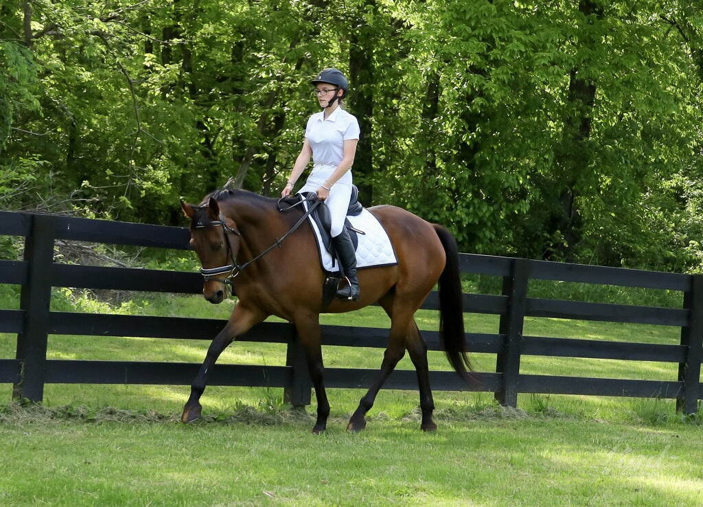 girl wearing white clothes trotting in a field on a bay horse next to a black fence