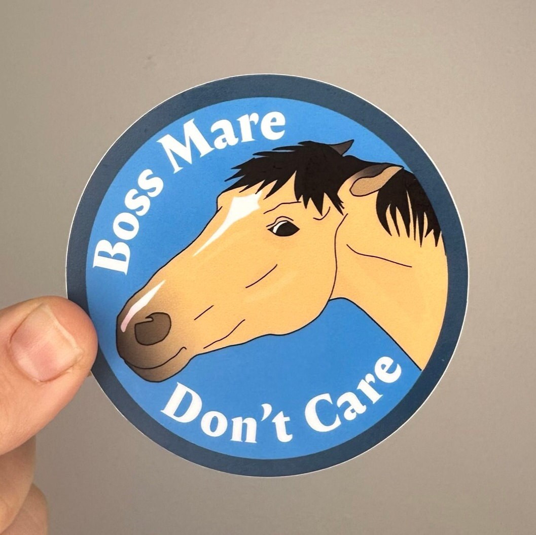 Boss Mare Don't Care Sticker